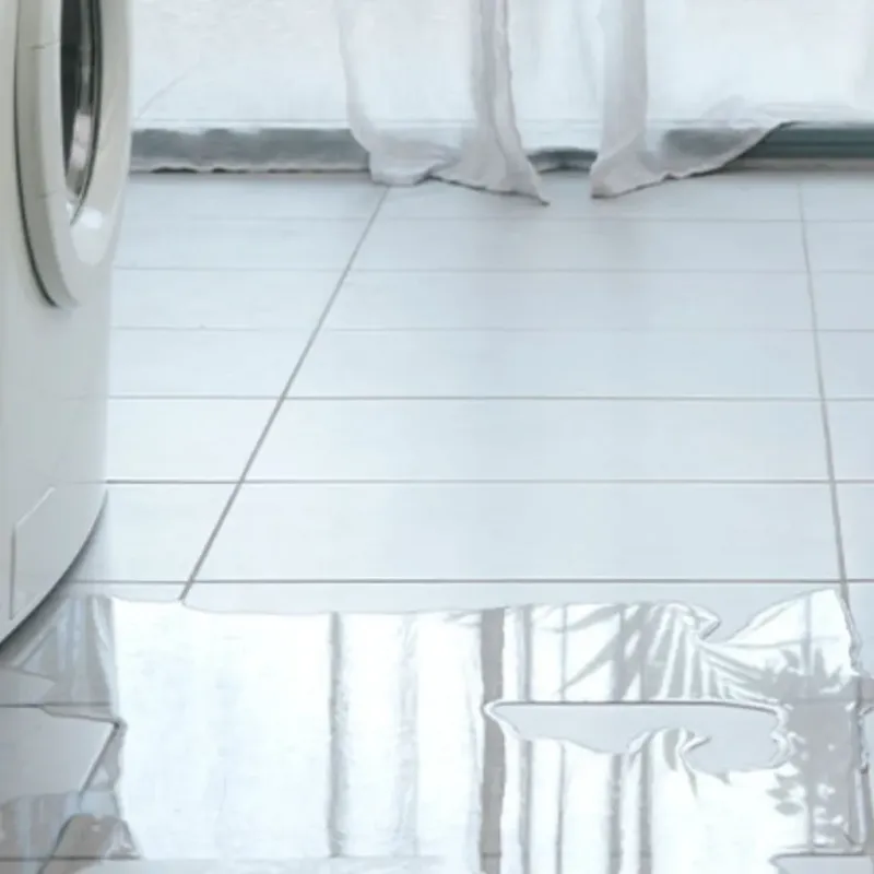 Appliance Leak Cleanup in Mount Olive, IL