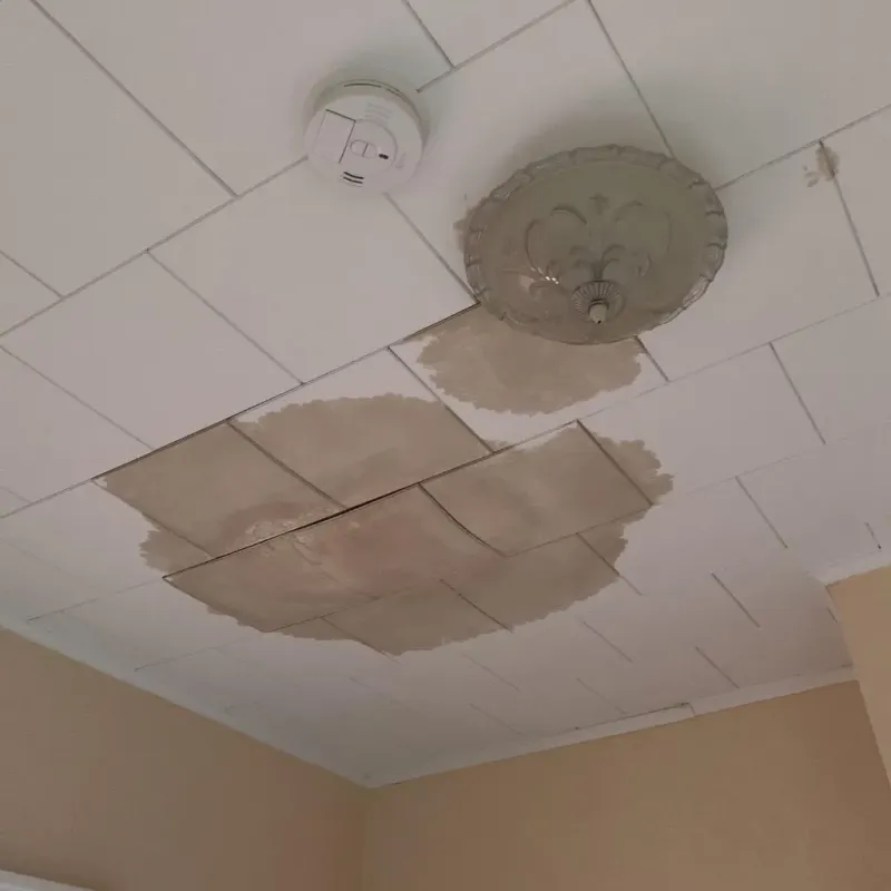 Ceiling Water Damage Repair in Mount Olive, IL