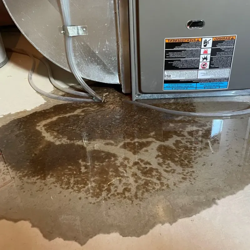Pipe Burst and Leak Restoration in Mount Olive, IL