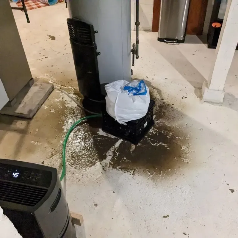 Sewage Backup Cleanup Service in Mount Olive, IL